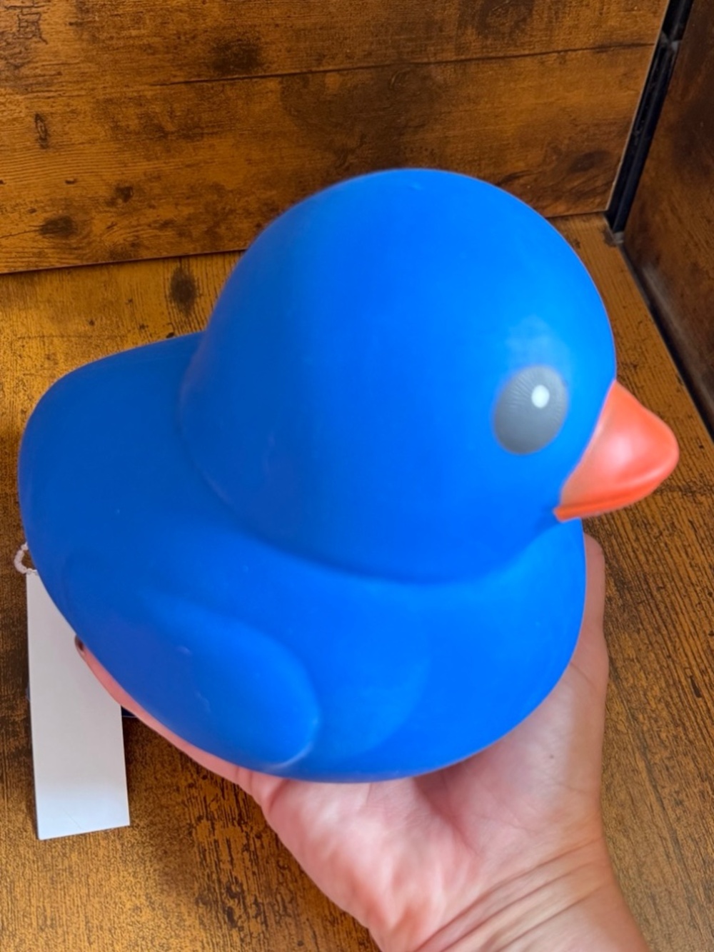 Sunny Days Jumbo Blue Duck Squishy – Viral Sensory Fidget Toy
